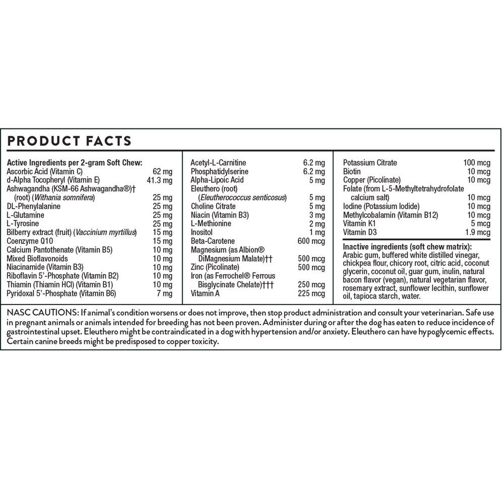 Product image for Canine Geriatric Basics.