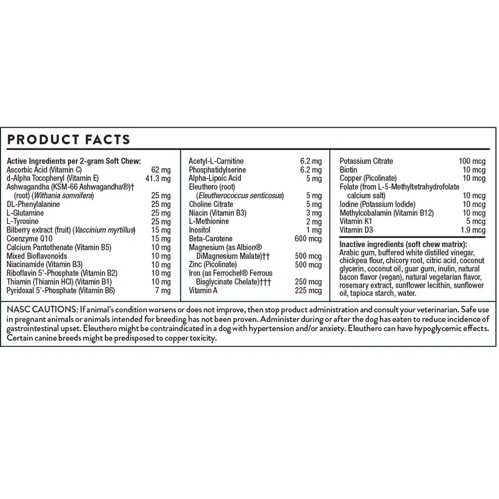 Product image for Canine Geriatric Basics.