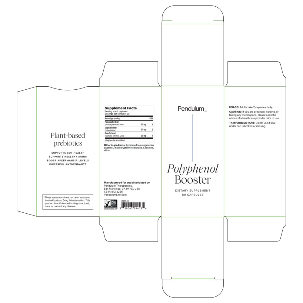 Product image for Polyphenol Booster.