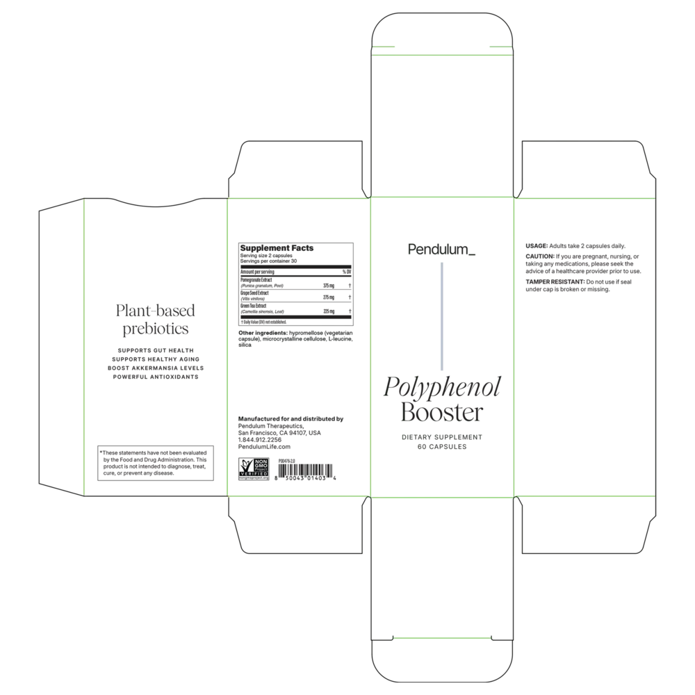 Product image for Polyphenol Booster.