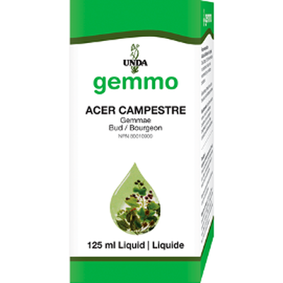 Unda Gemmo Acer Campestre product image