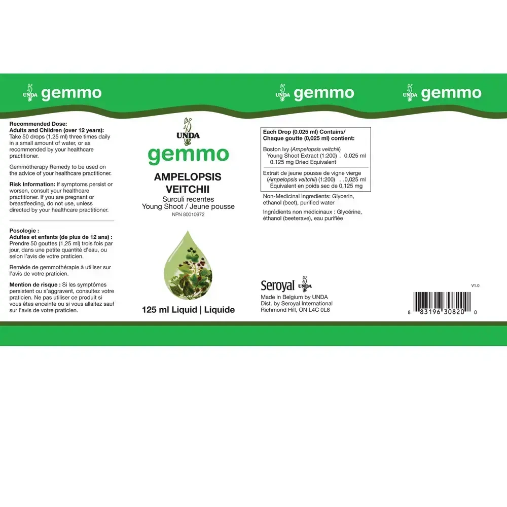 Product image for Unda Gemmo Ampelopsis Veitchii.