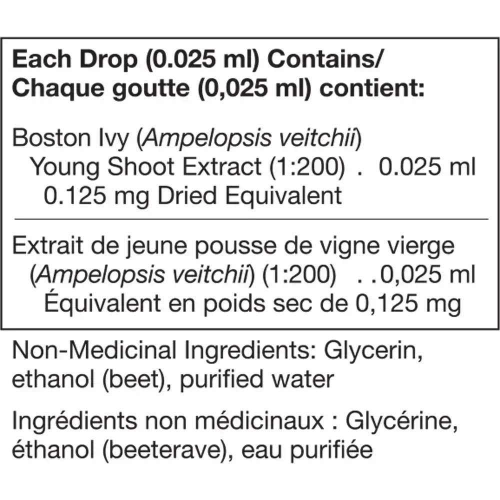 Product image for Unda Gemmo Ampelopsis Veitchii.