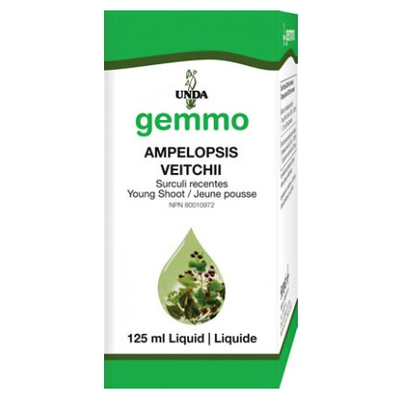 Unda Gemmo Ampelopsis Veitchii product image