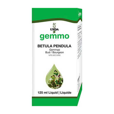 Unda Gemmo Betula pendula (bud) product image