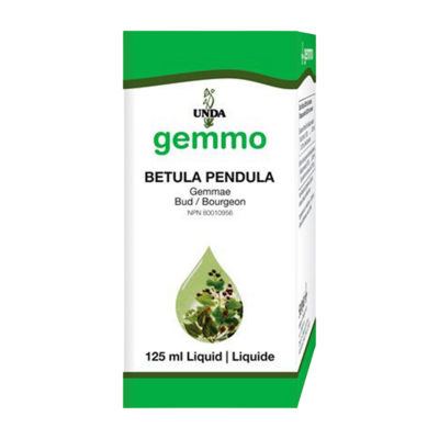 Unda Gemmo Betula pendula (bud)