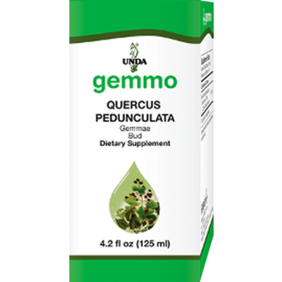 Unda Gemmo Quercus Pedunculata