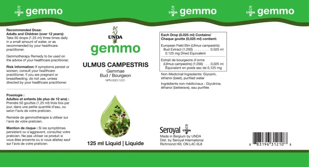 Product image for Unda Gemmo Ulmus Campestris.