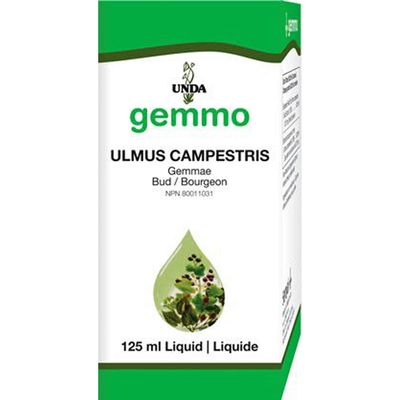 Unda Gemmo Ulmus Campestris product image