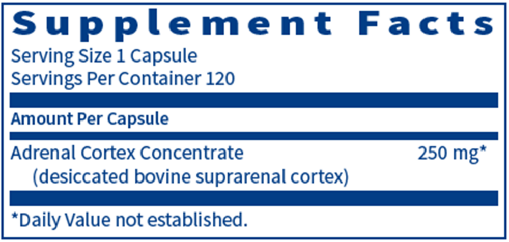Product image for Adrenal Cortex.