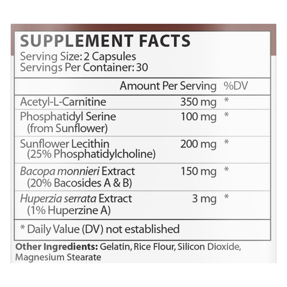 Product image for Brain &amp; Memory.