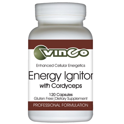 Energy Ignitor product image