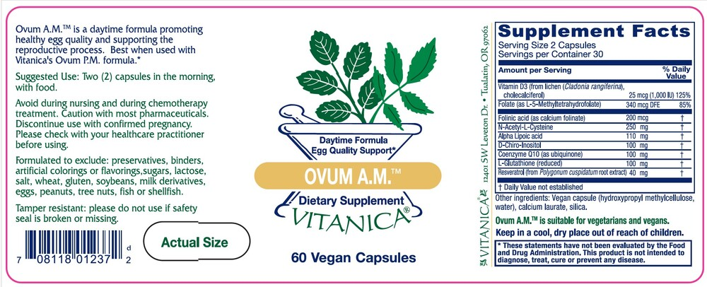 Product image for Ovum AM.