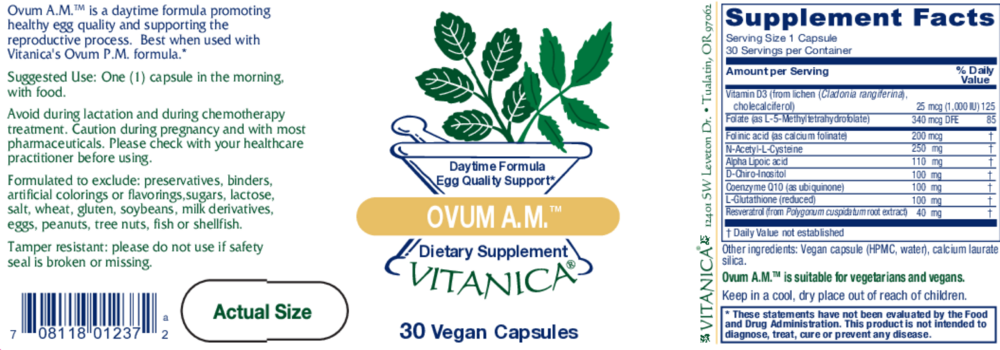 Product image for Ovum AM.
