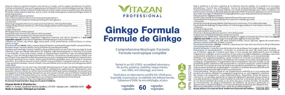 Product image for Ginkgo Formula.