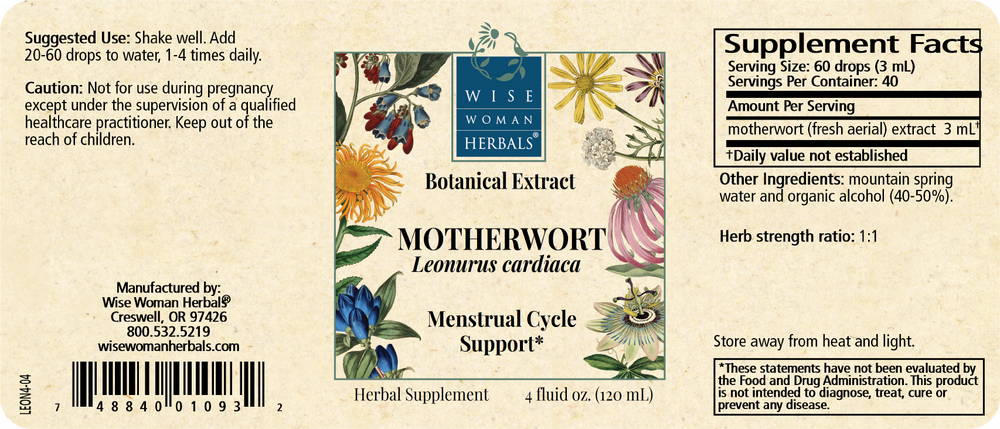Product image for Leonurus cardiaca - motherwort.