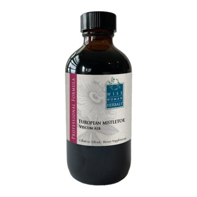 Viscum album - European mistletoe