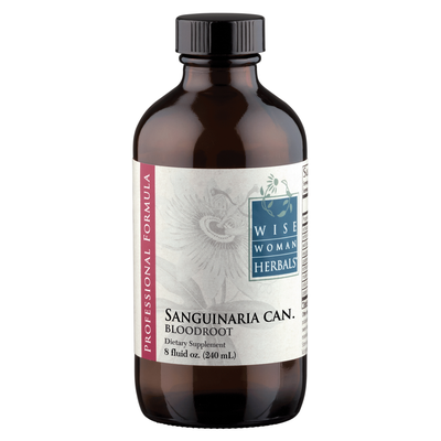 Sanguinaria canadensis - bloodroot product image