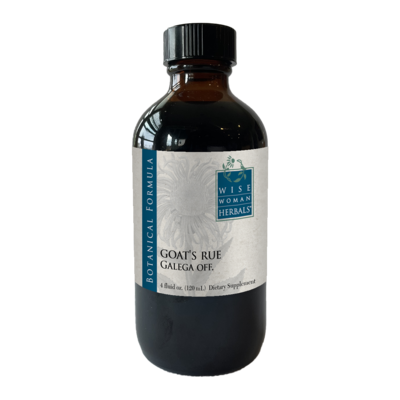 Galega officinalis - goats rue 120 Milliliters