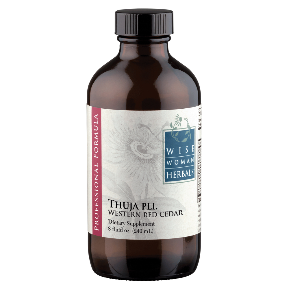 Thuja plicata - western red cedar product image
