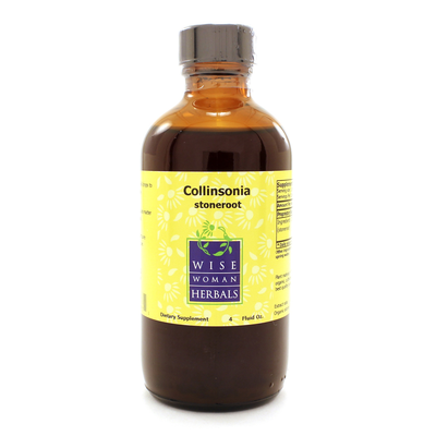 Collinsonia canadensis - stoneroot 4 Ounces