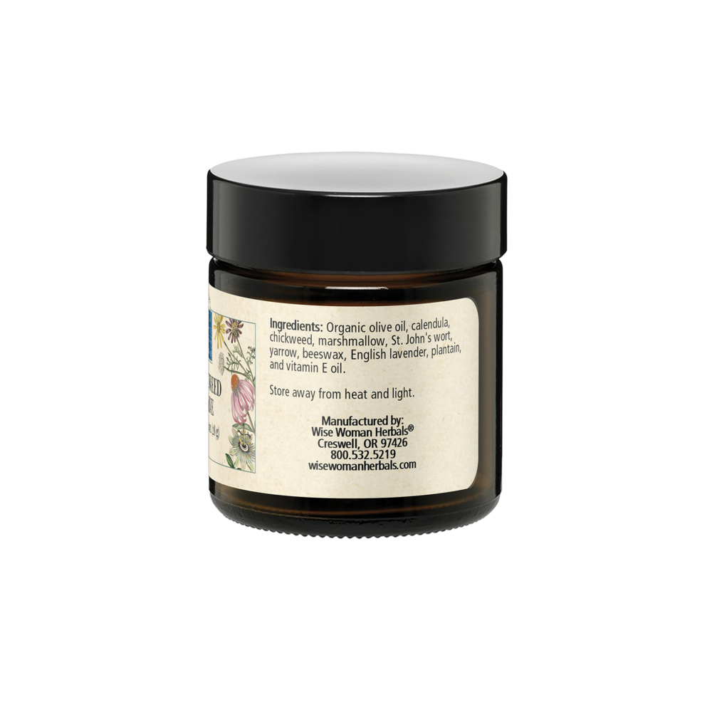 Product image for Wild Weed Salve 1 oz..