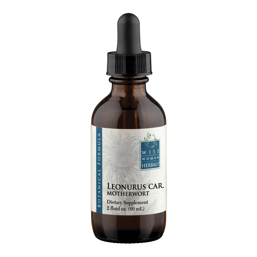 Leonurus cardiaca - motherwort product image