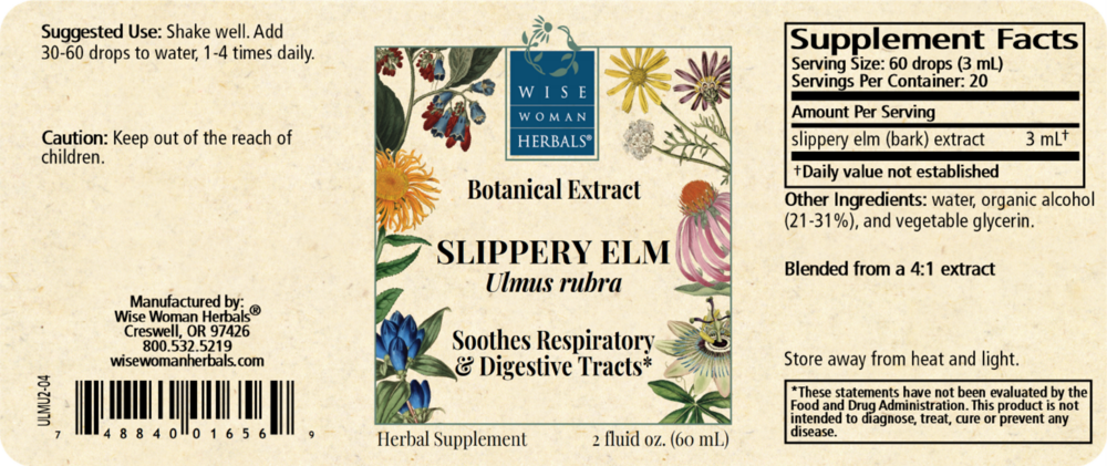 Product image for Ulmus rubra - slippery elm.