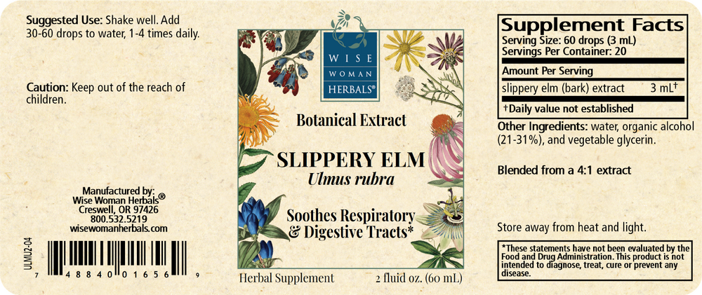 Product image for Ulmus rubra - slippery elm.