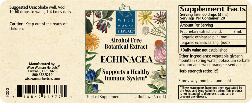 Product image for Echinacea Glycerite.