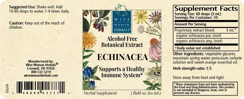 Product image for Echinacea Glycerite.