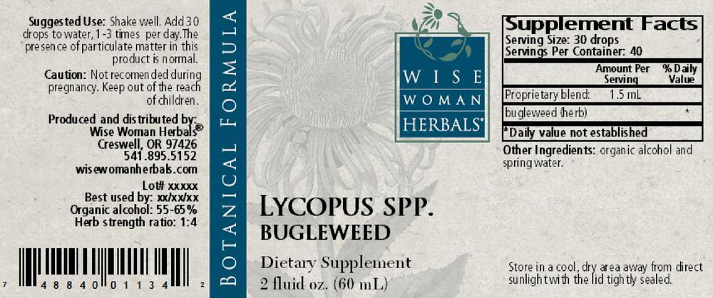 Product image for Lycopus virginicus - bugleweed.