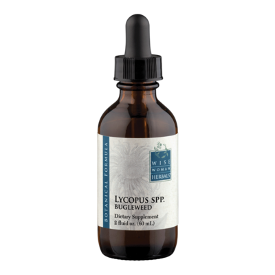 Lycopus virginicus - bugleweed 60 Milliliters