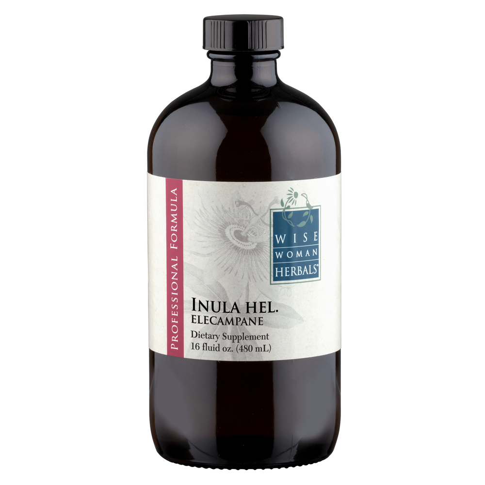 Inula helenium - elecampane product image