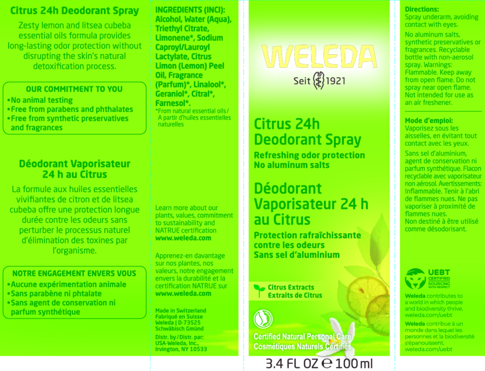 Product image for Citrus 24H Deodorant.