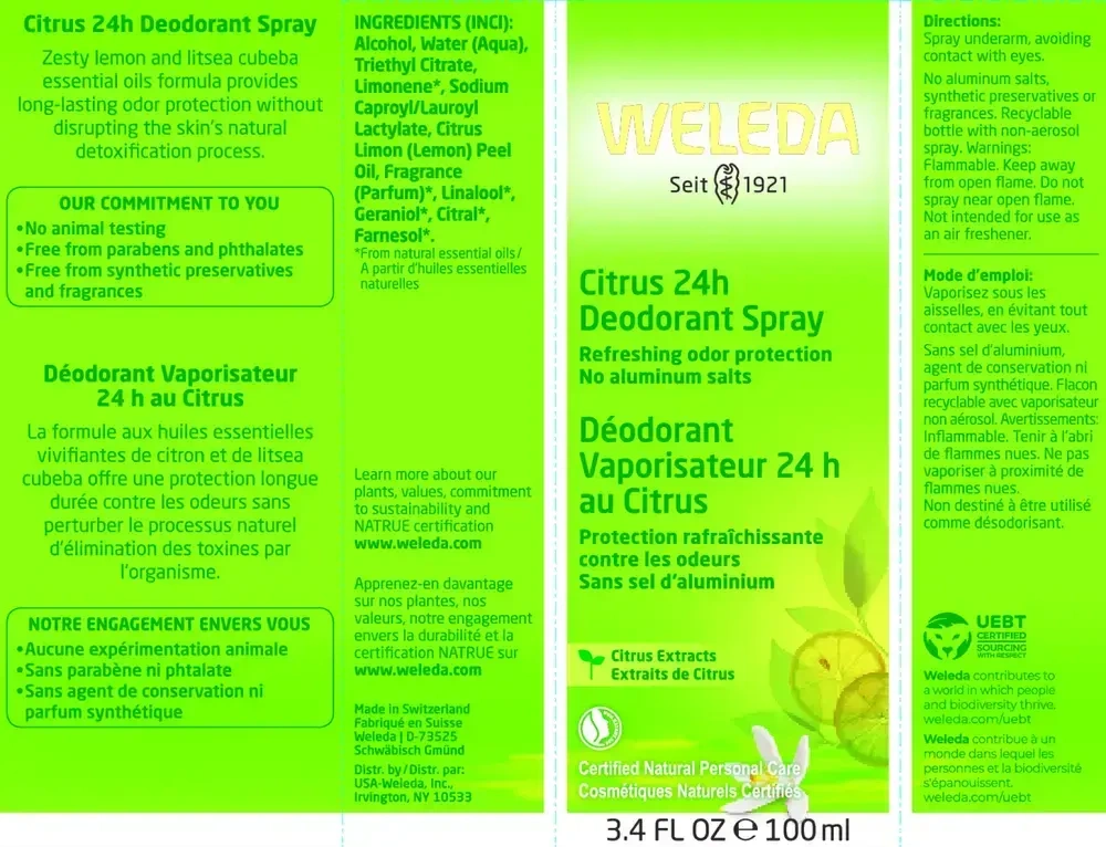 Product image for Citrus 24H Deodorant.
