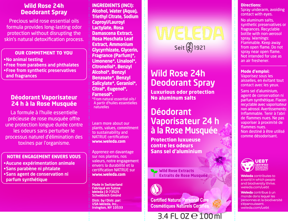 Product image for Wild Rose 24H Deodorant.