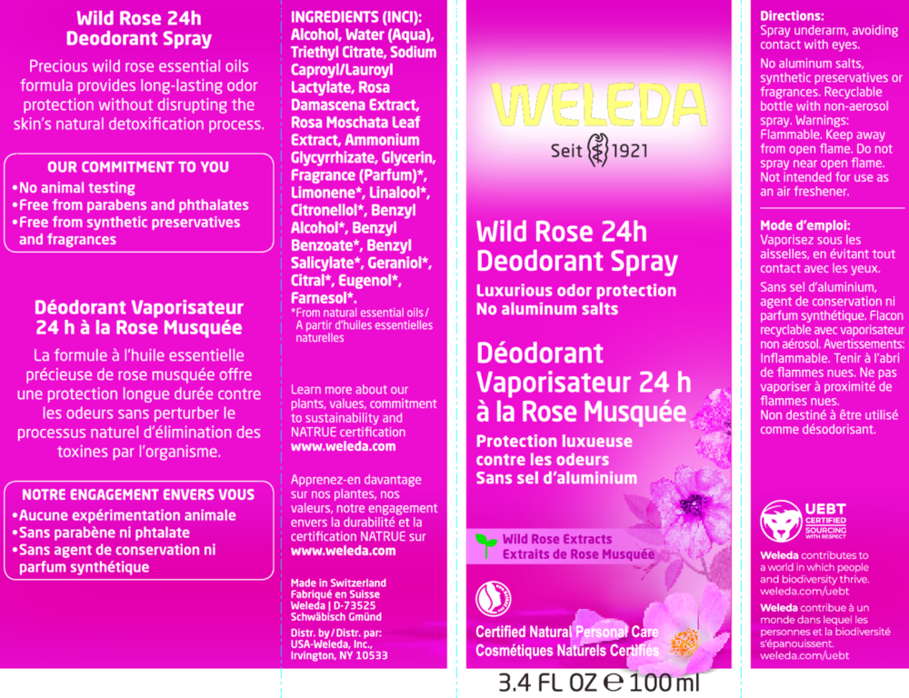 Product image for Wild Rose 24H Deodorant.
