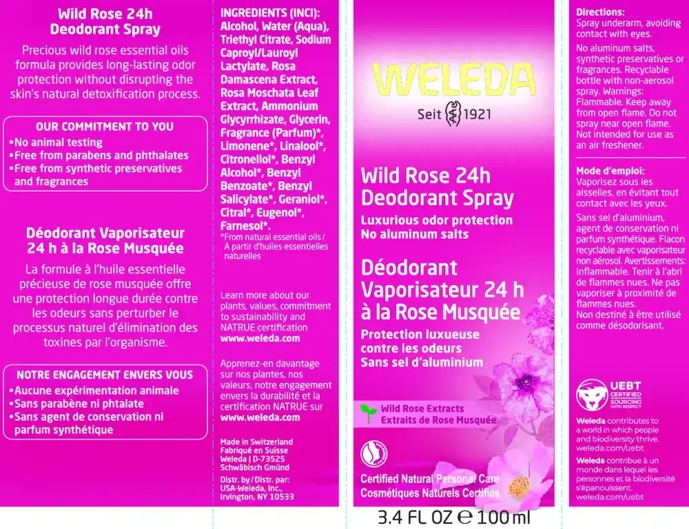 Product image for Wild Rose 24H Deodorant.