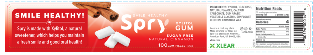 Product image for Natural Cinnamon Xylitol Gum.