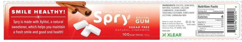 Product image for Natural Cinnamon Xylitol Gum.