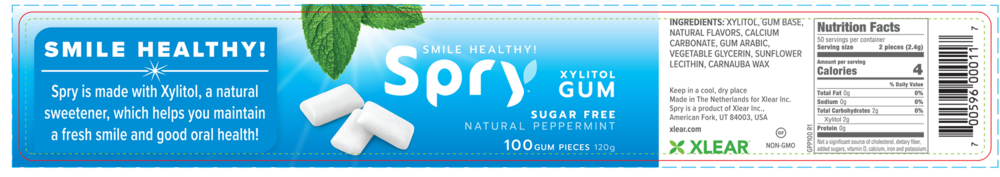 Product image for Natural Peppermint Xylitol Gum.