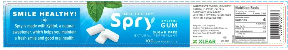 Product image for Natural Peppermint Xylitol Gum.
