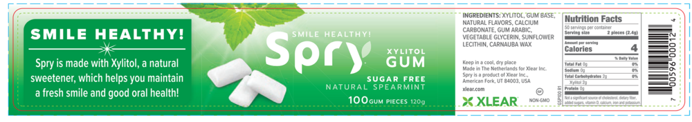 Product image for Natural Spearmint Xylitol Gum.