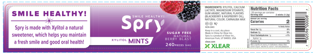 Product image for Natural Berry Blast Xylitol Mints.