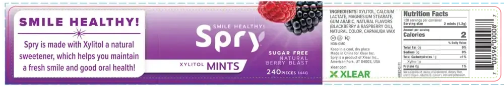 Product image for Natural Berry Blast Xylitol Mints.