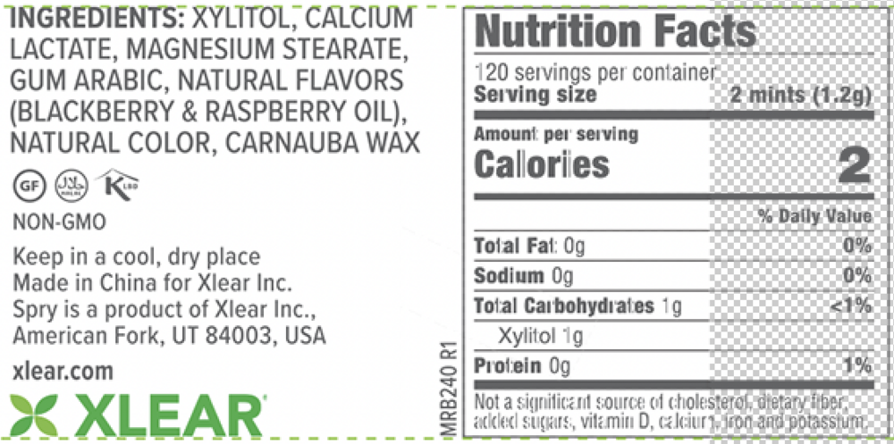 Product image for Natural Berry Blast Xylitol Mints.