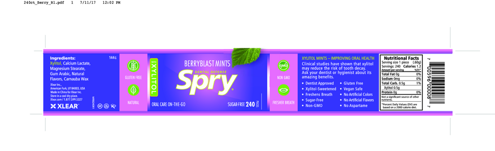 Product image for Natural Berry Blast Xylitol Mints.