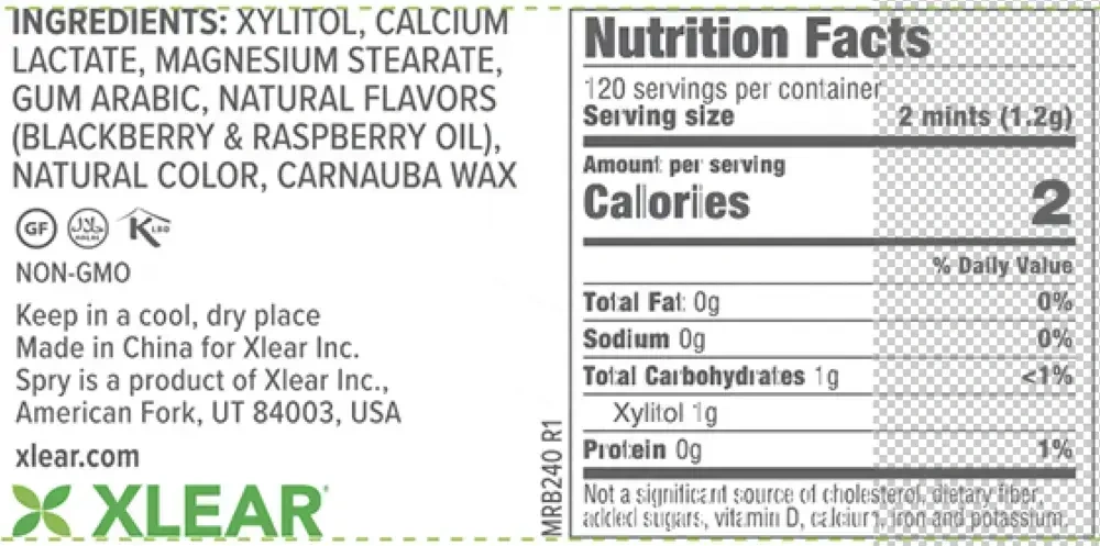 Product image for Natural Berry Blast Xylitol Mints.